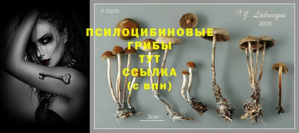 ГАЛЛЮЦИНОГЕННЫЕ ГРИБЫ Алзамай
