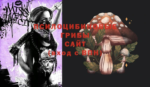 метадон Алексин