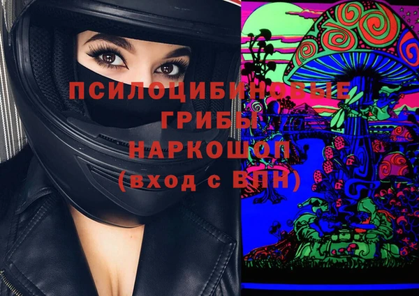 ГАЛЛЮЦИНОГЕННЫЕ ГРИБЫ Алзамай