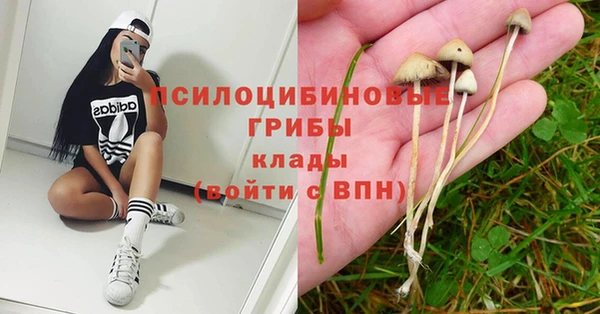 ГАЛЛЮЦИНОГЕННЫЕ ГРИБЫ Алзамай