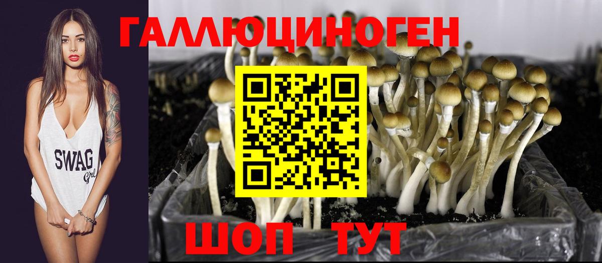 Псилоцибиновые грибы Magic Shrooms Грязи