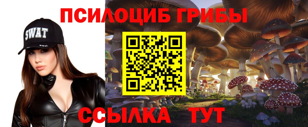 Грязи  Галлюциногенные грибы Psilocybe  Псилоцибиновые грибы мухоморы  цена наркотик  Вход с VPN 